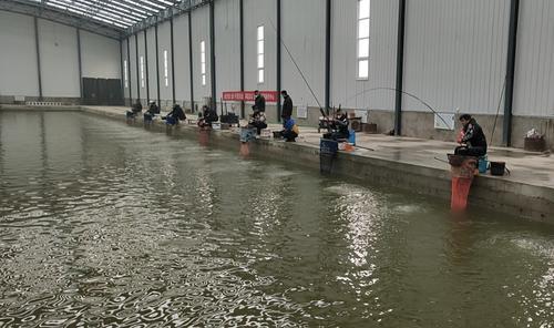 贺兰县首家室内冬钓馆投入使用