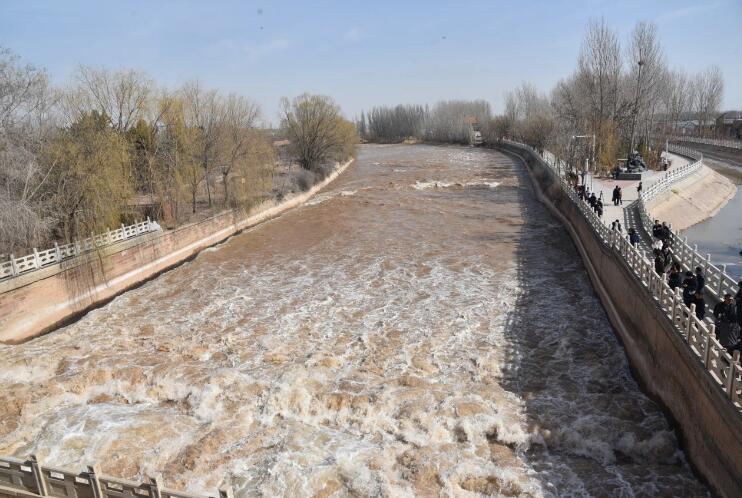 银川新闻网-唐徕渠管理处:保护水环境 助力灌区水美粮安