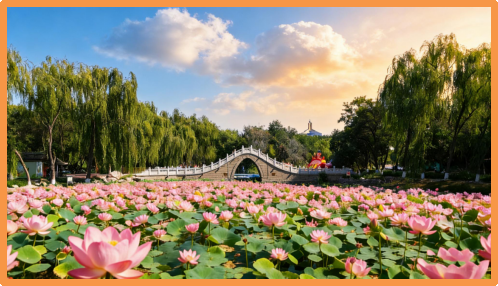 最全打卡攻略!银川2026年赏花观叶月历来了(图1)