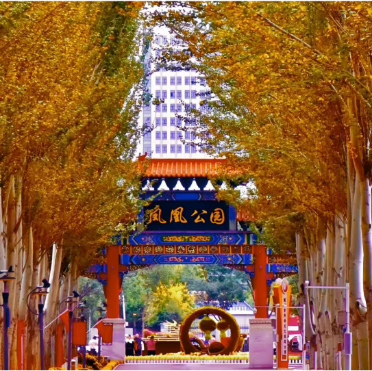 最全打卡攻略!银川2026年赏花观叶月历来了(图6)