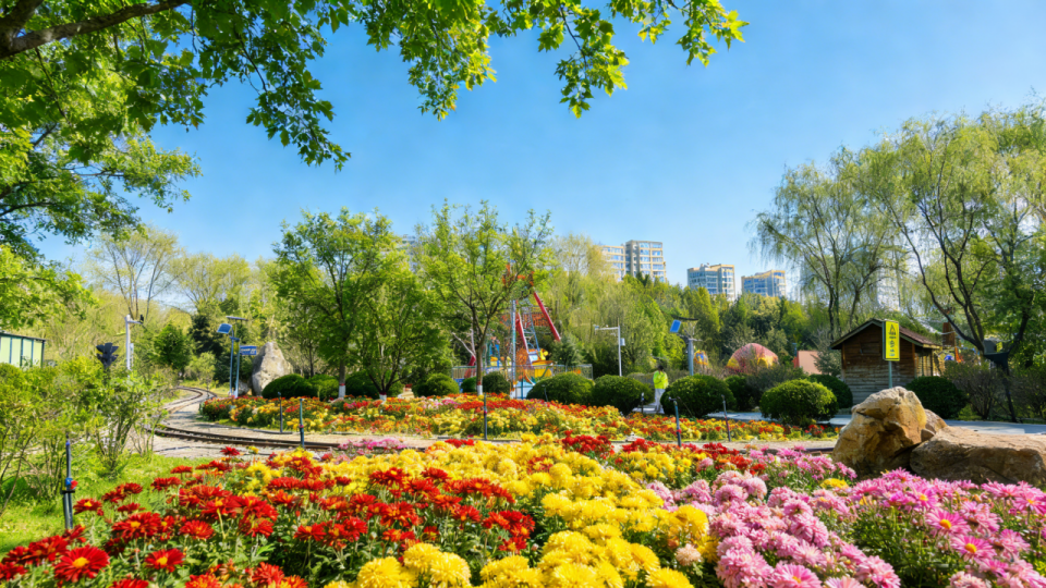 最全打卡攻略!银川2026年赏花观叶月历来了(图7)